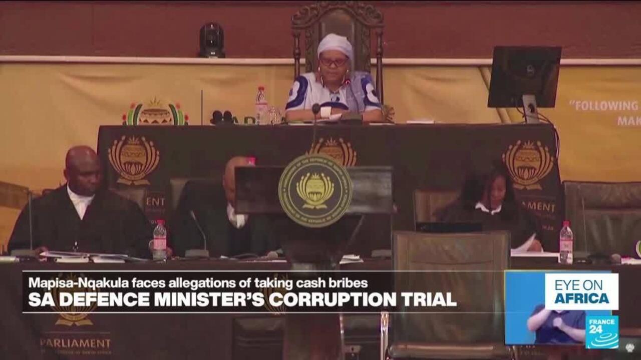 Officials seated at a parliamentary hearing table beneath a South African Parliament emblem