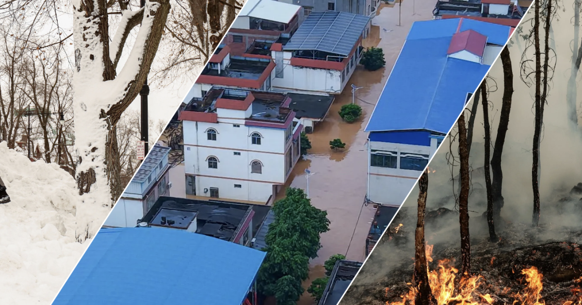 Collage showing a snowy park, flooded urban buildings, and a forest fire.
