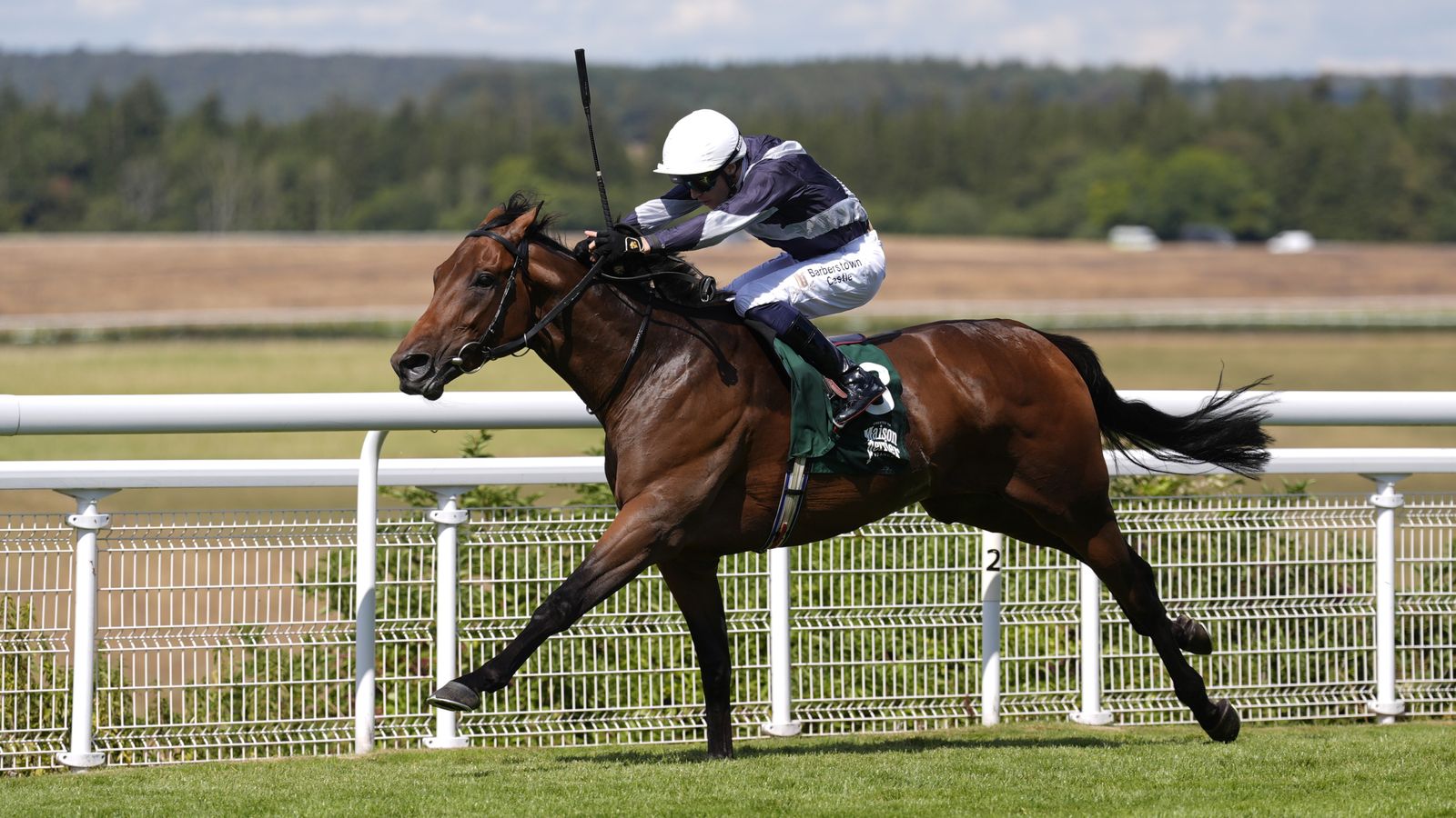 A racehorse and jockey gallop along a turf course beside white safety rails.