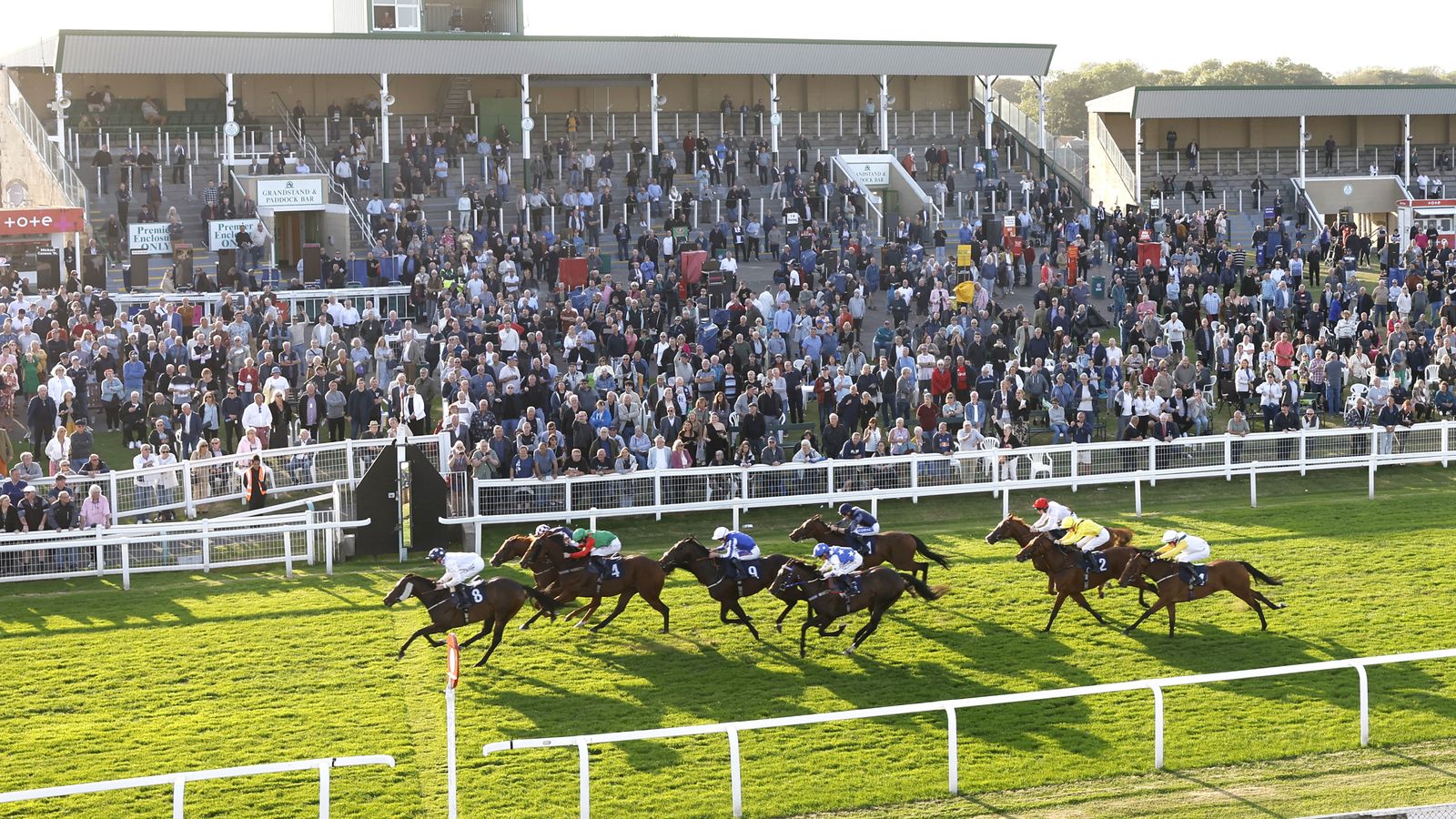 Racehorses gallop on turf past a crowded grandstand at a horse-racing course.