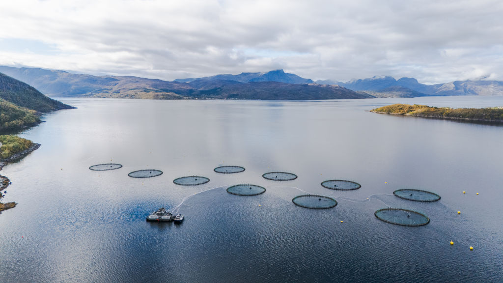 Floating fish pens and service vessel on a mountain lake beneath cloudy skies