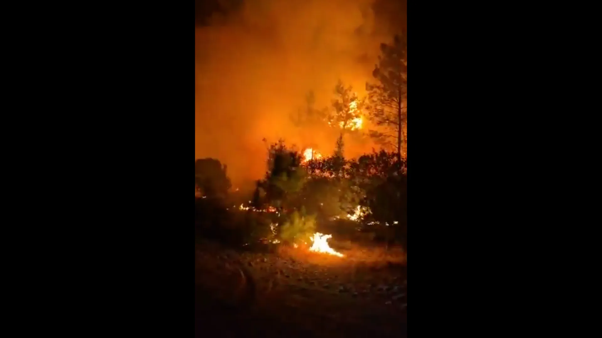 Nighttime flames and thick orange smoke rise behind trees and shrubs near a landscaped area.