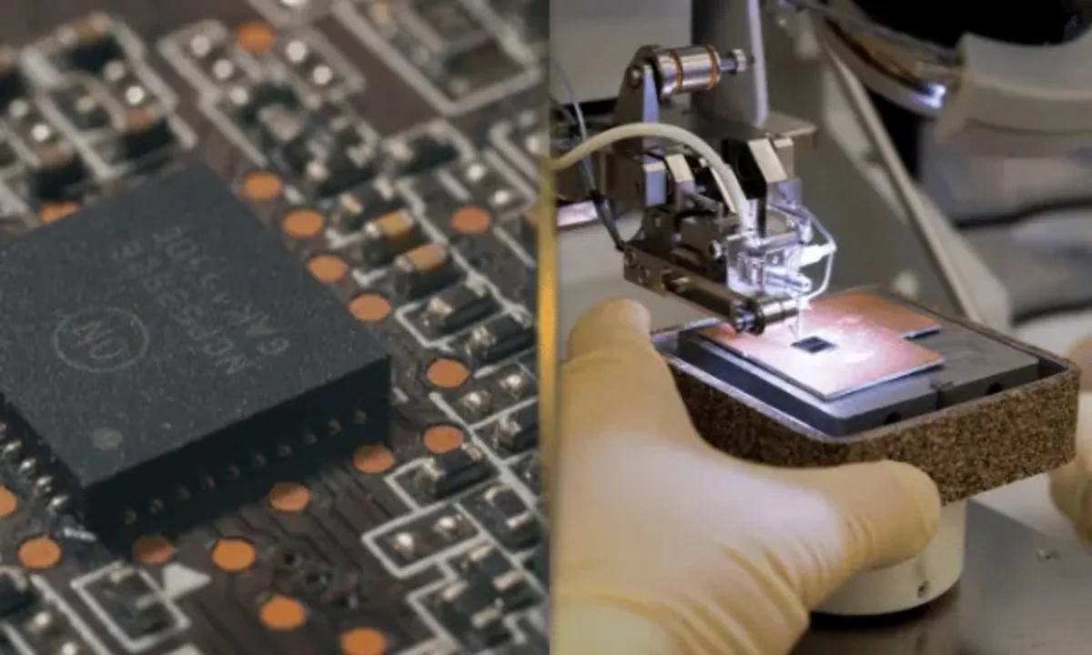 Forget the AI Doom Headlines. Watch This AMD Number Instead.