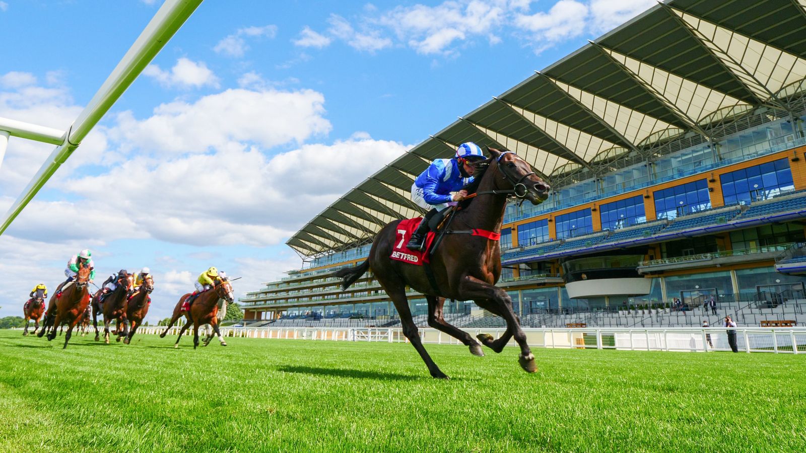 Heyzoom looks to bounce back to winning ways at Ascot