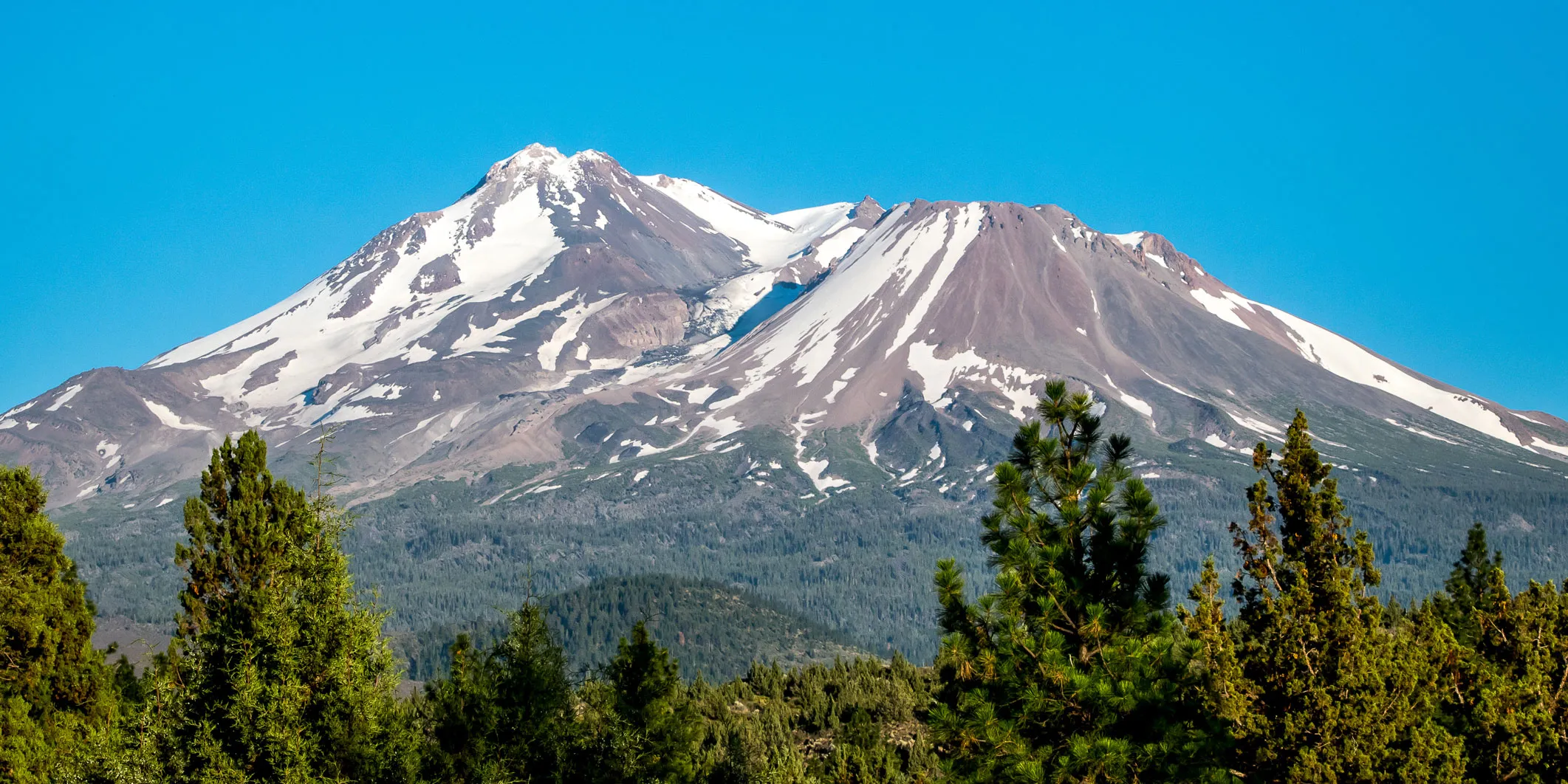 Snow-covered volcanic mountain rising above a dense evergreen forest beneath a clear blue sky