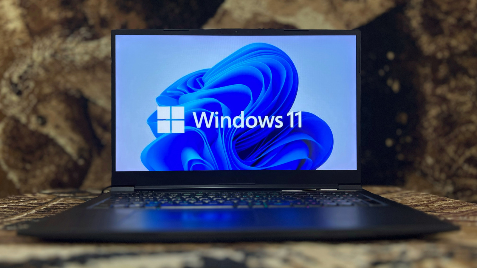 Laptop displaying the Windows 11 logo and desktop wallpaper on a table