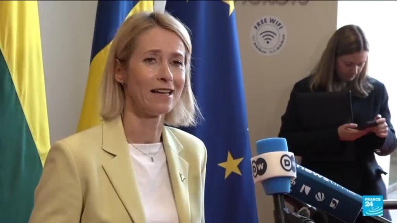Blonde woman speaks beside European flags while journalists hold microphones during a press event.