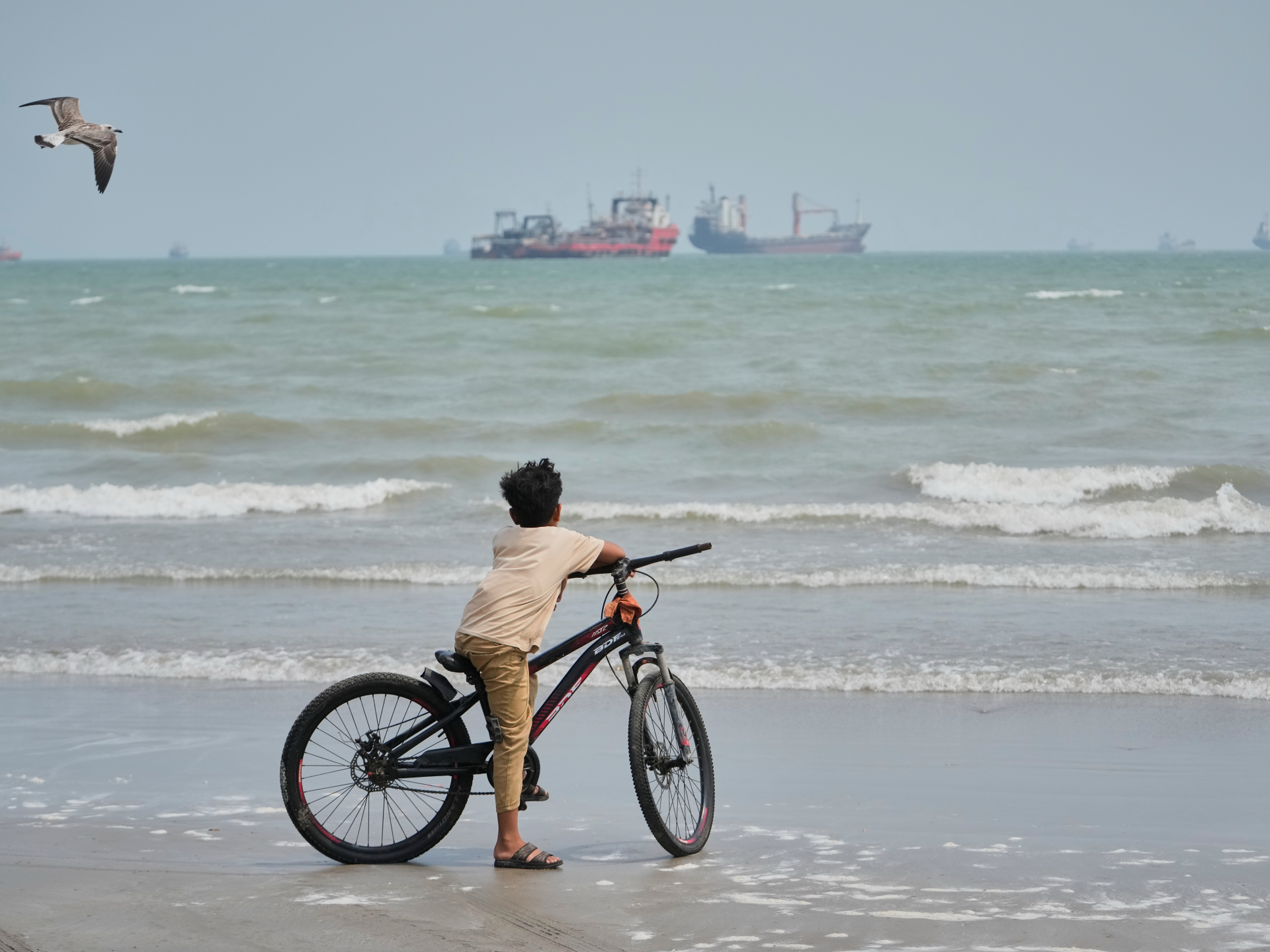 A boy stands with his bicycle on a beach as ships sit offshore and a seabird flies overhead.