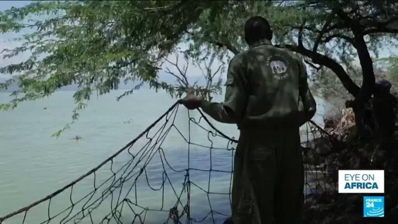 A person in protective clothing pulls a fishing net from a lakeshore beneath trees.