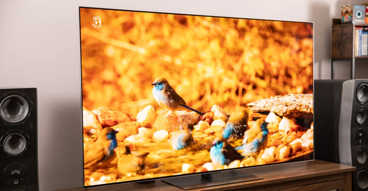 Large television displays colorful birds beside stereo speakers in a living room.
