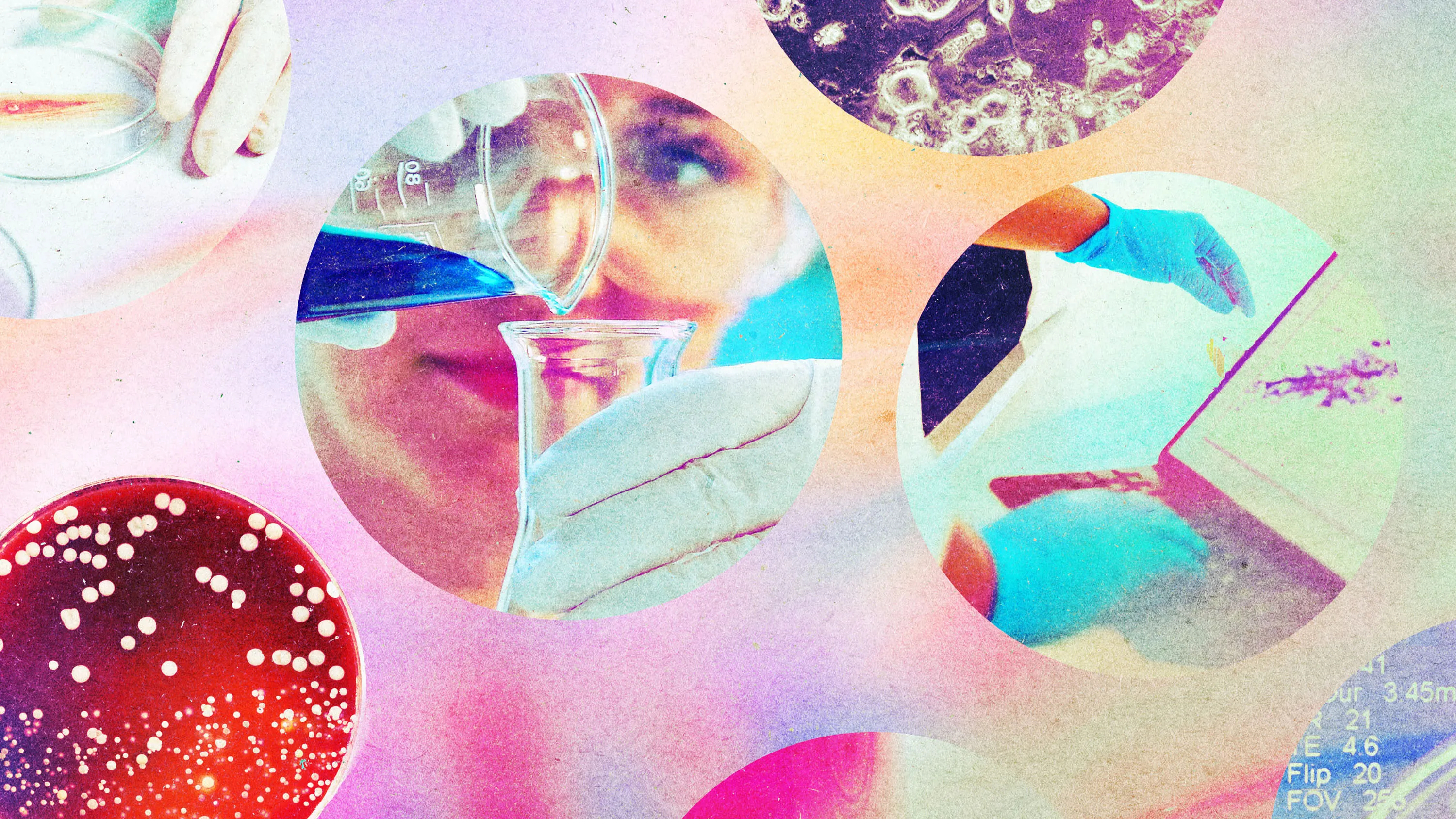 Collage of laboratory research scenes, including petri dishes, test tubes, microscopy, and gloved hands
