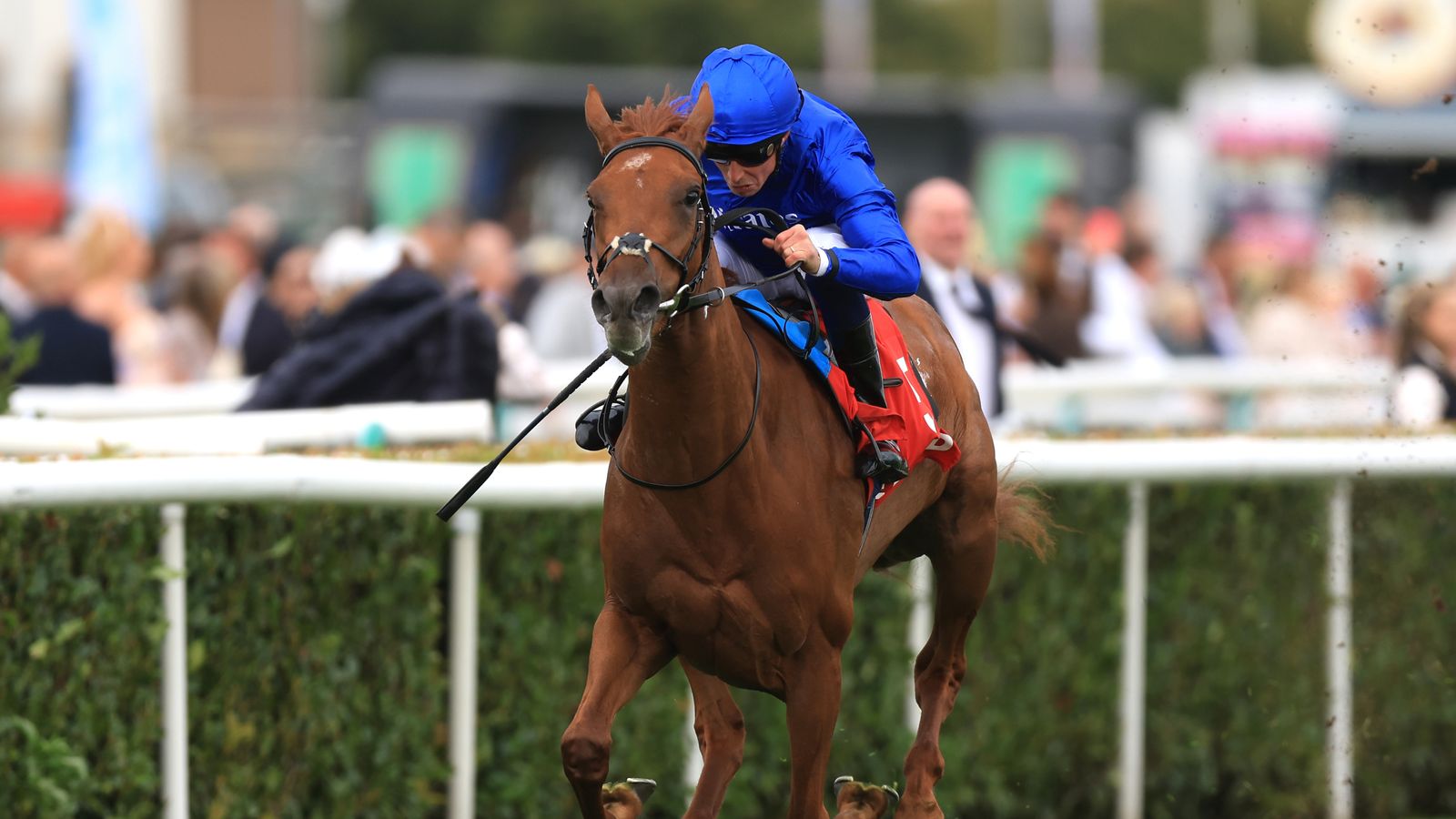 Jockey in blue silks rides a chestnut racehorse past spectators and railings.