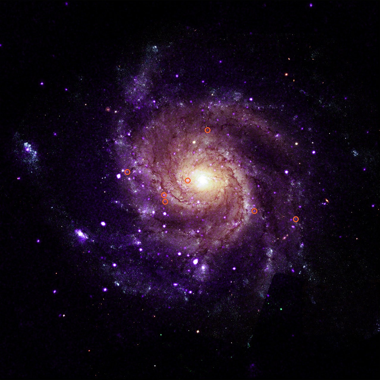 Purple spiral galaxy glowing at center, with orange circles marking several faint X-ray sources.