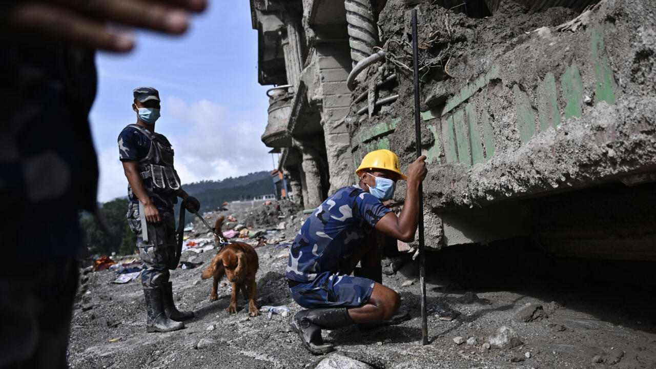 Masked rescuers and a search dog inspect rubble beside a damaged concrete structure.