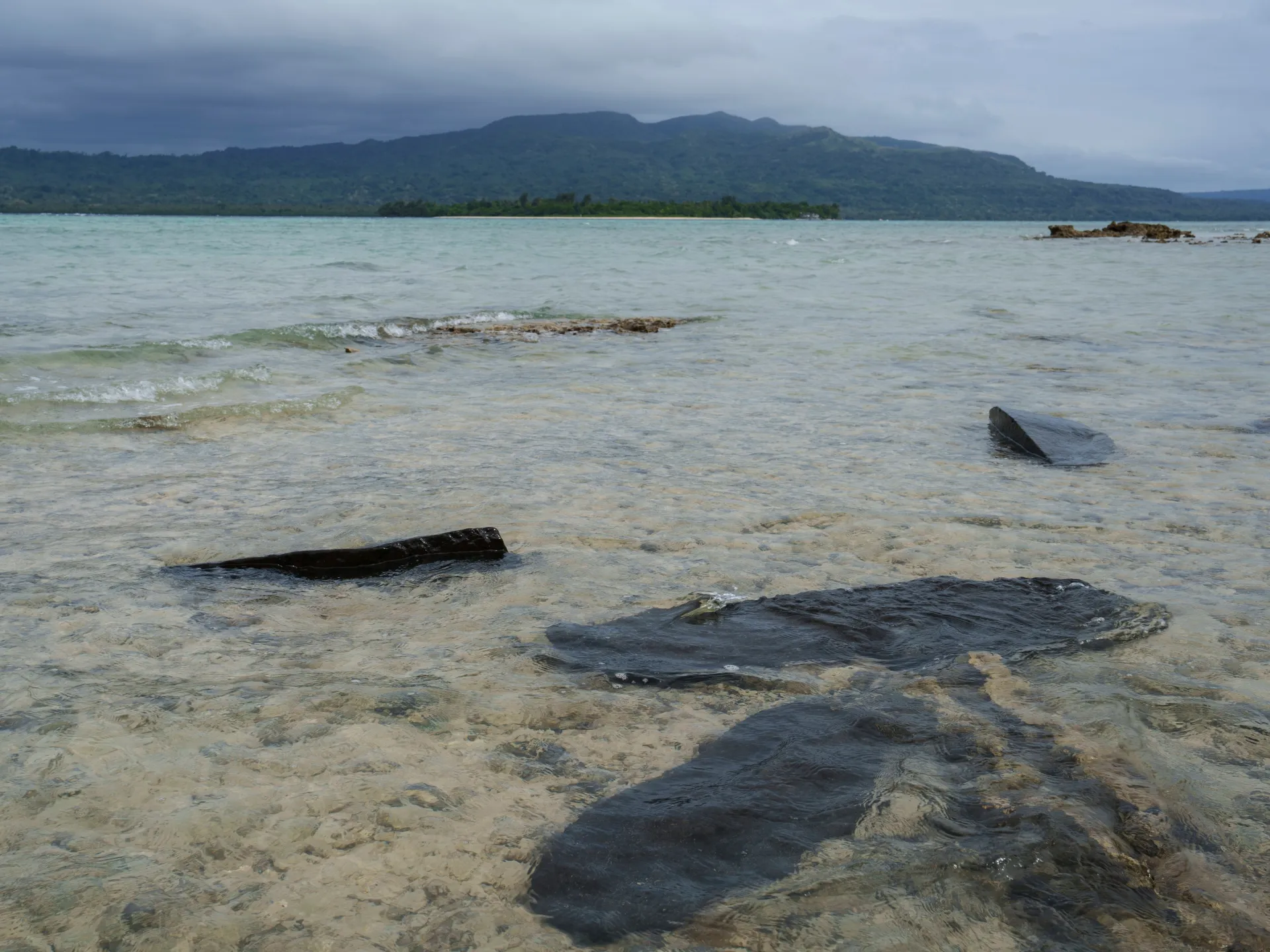 Dark debris protrudes from shallow coastal water beneath a cloudy sky and forested mountainous shoreline.