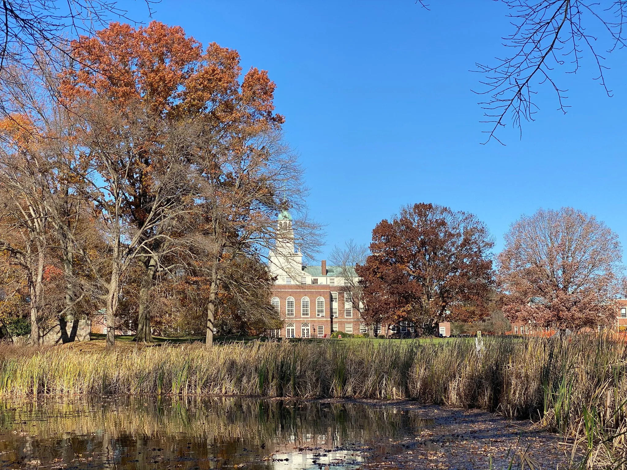 Autumn trees frame a brick institutional building beside a pond under a clear blue sky.