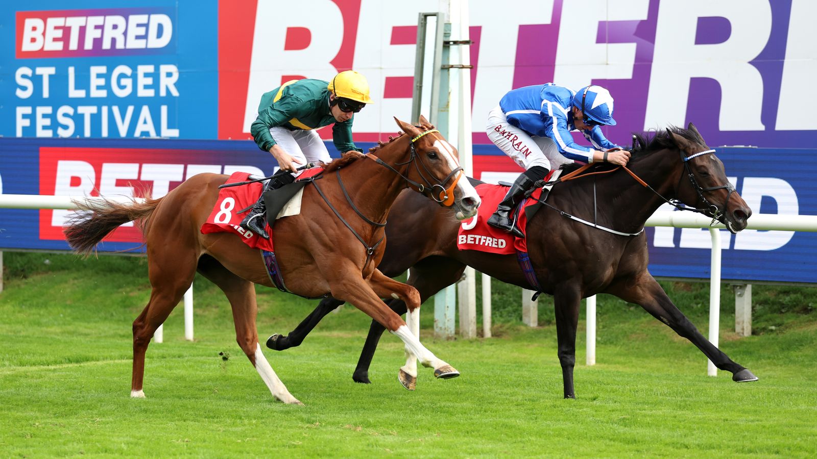 Two jockeys race thoroughbred horses past Betfred St Leger Festival advertising boards.