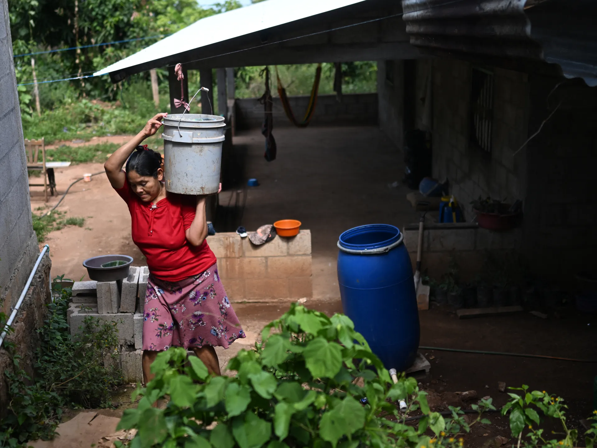 A woman in a red shirt lifts a bucket beside a blue water barrel outdoors.