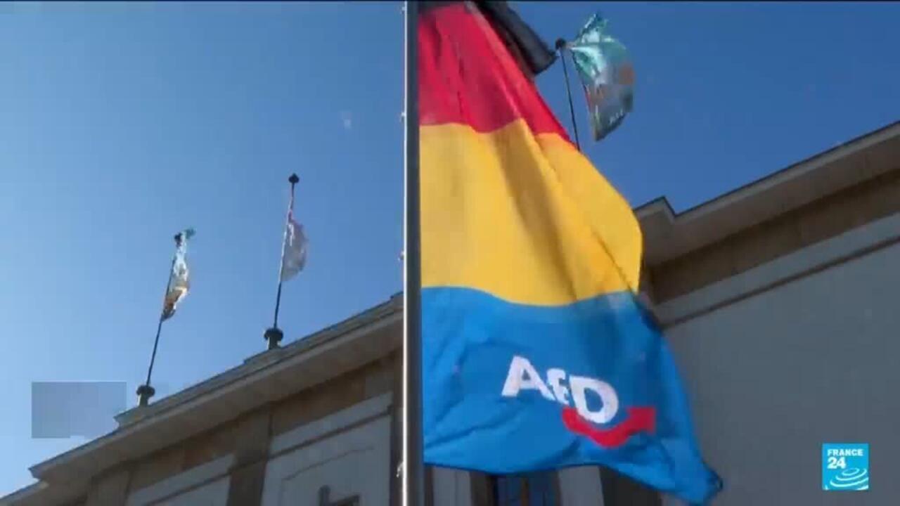 AfD flag flying outside a building beneath a clear blue sky