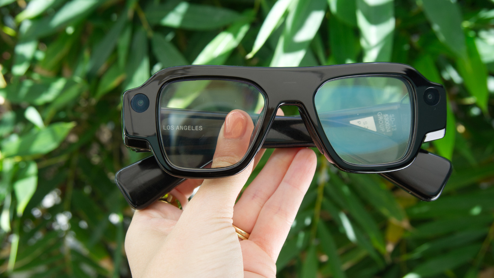 Black smart glasses with visible cameras held in front of lush green foliage