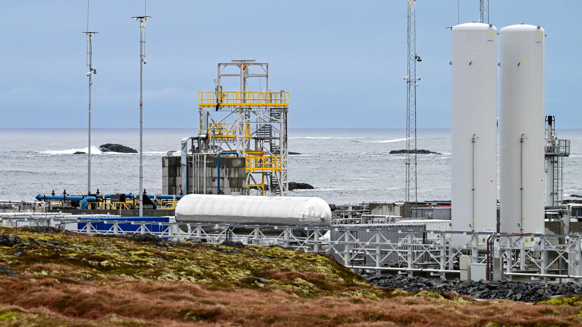 Industrial coastal facility with storage tanks, pipes, towers, and ocean visible beyond moss-covered foreground.