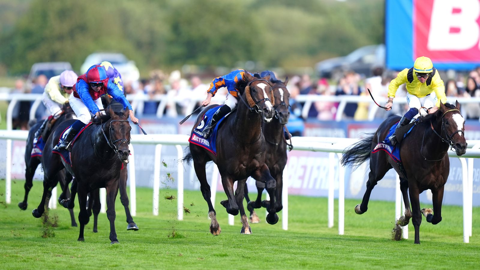 Racehorses and jockeys in colorful silks galloping across a grass course during a horse race