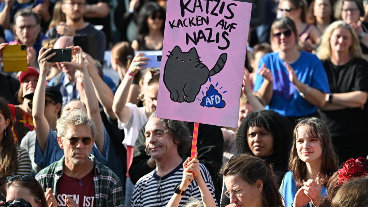 Crowd at a protest holds a pink sign depicting a cat stepping on an AfD logo.