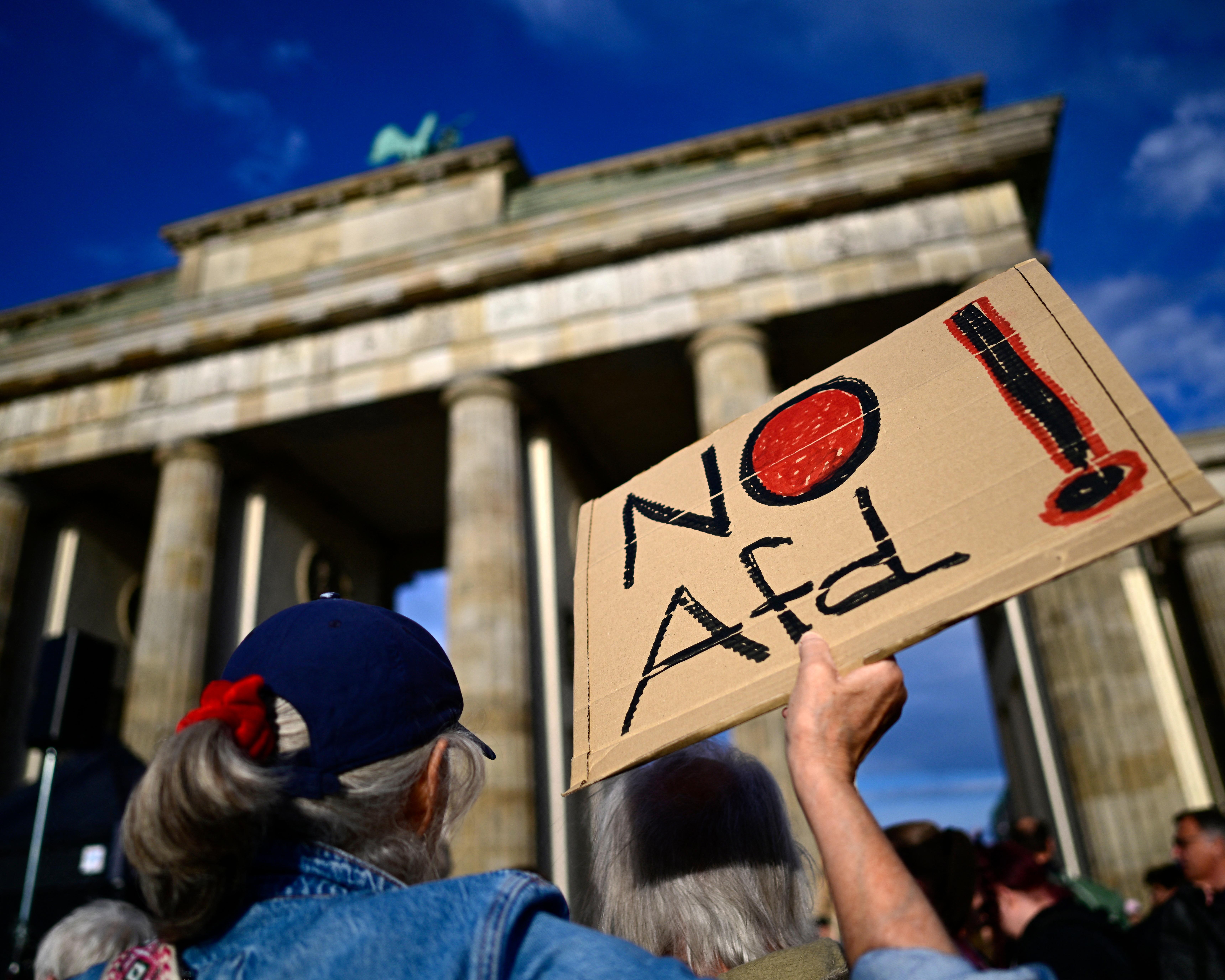 Protester holds a handwritten anti-AfD sign before a grand German government building.