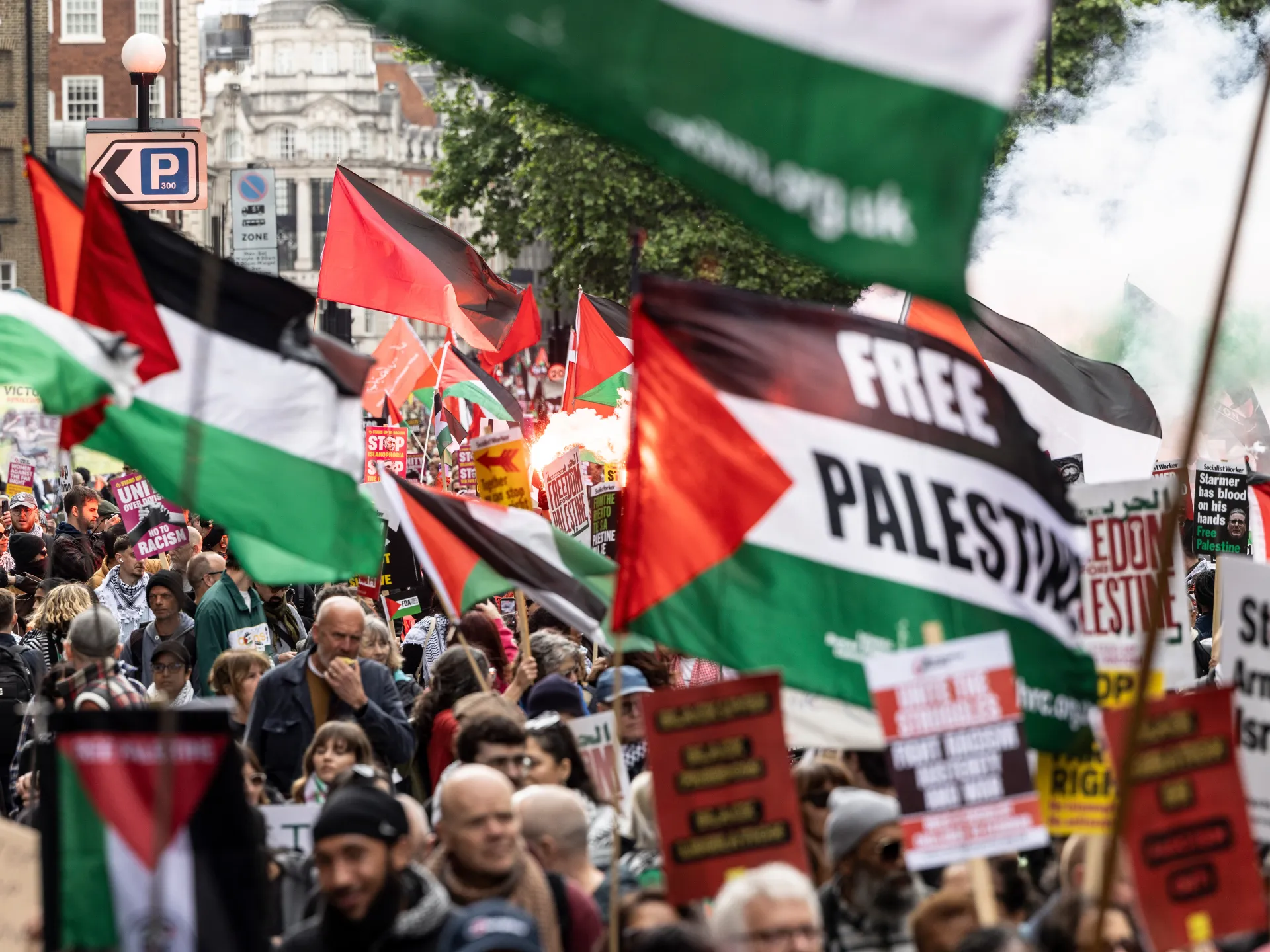 Crowd carrying Palestinian flags and protest placards during a street demonstration