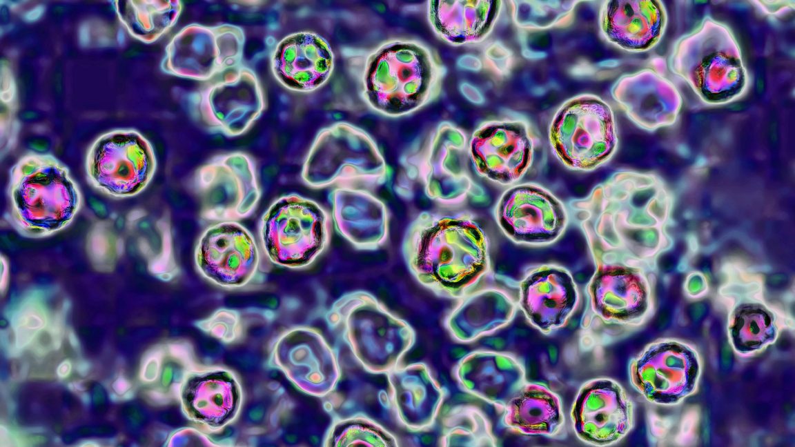 Abstract microscope-style image showing colorful rounded particles against a dark background