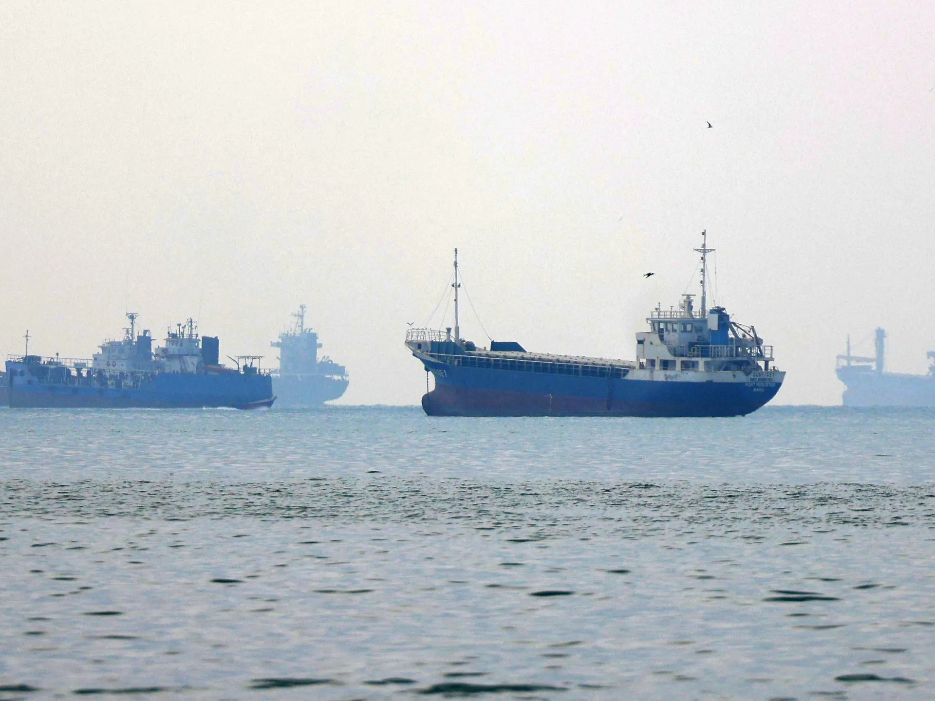 Several blue cargo vessels sit on calm, hazy waters beneath a pale sky.