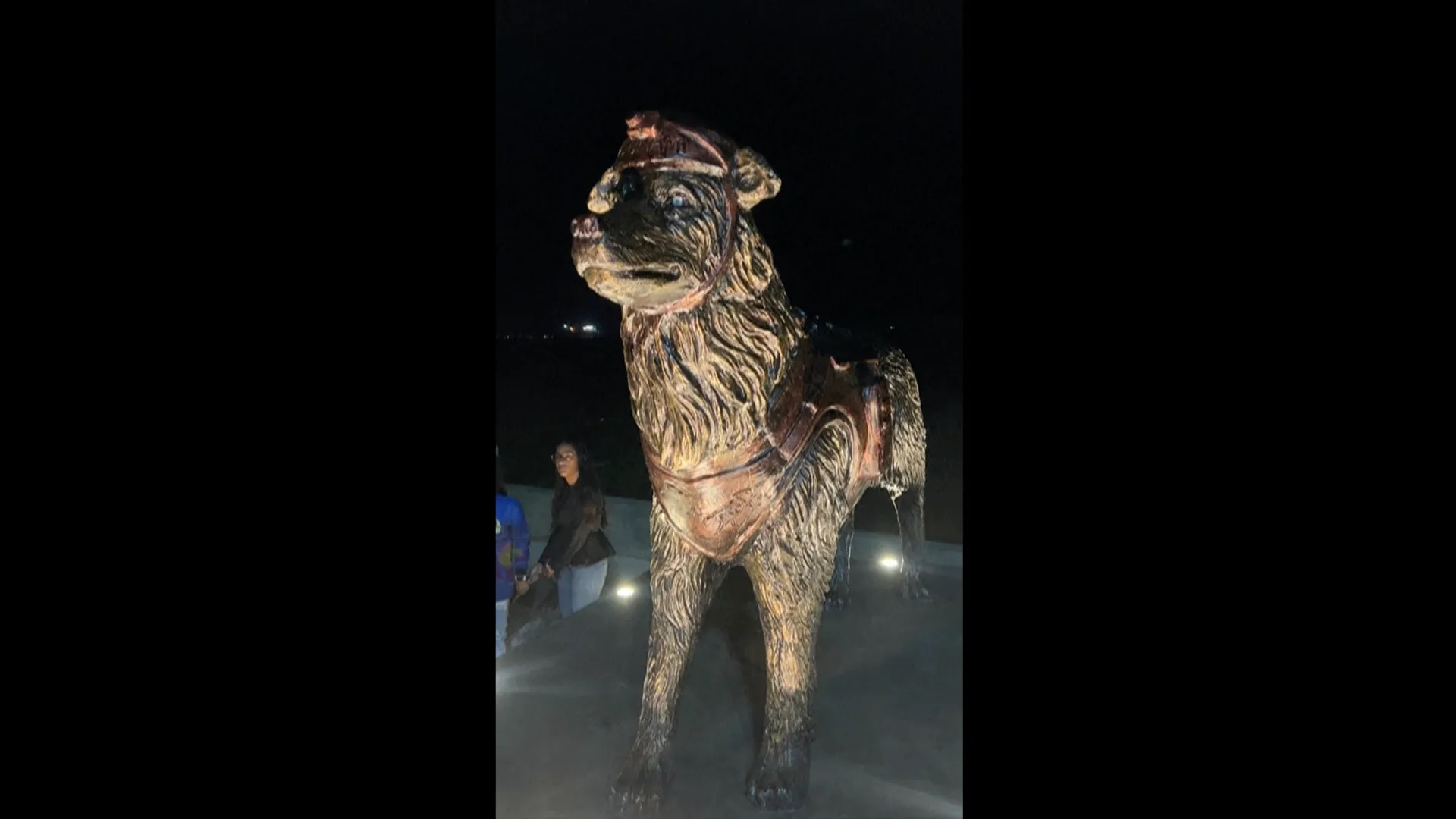 Bronze-colored rescue dog statue displayed outdoors at night with people and ground lights behind it.