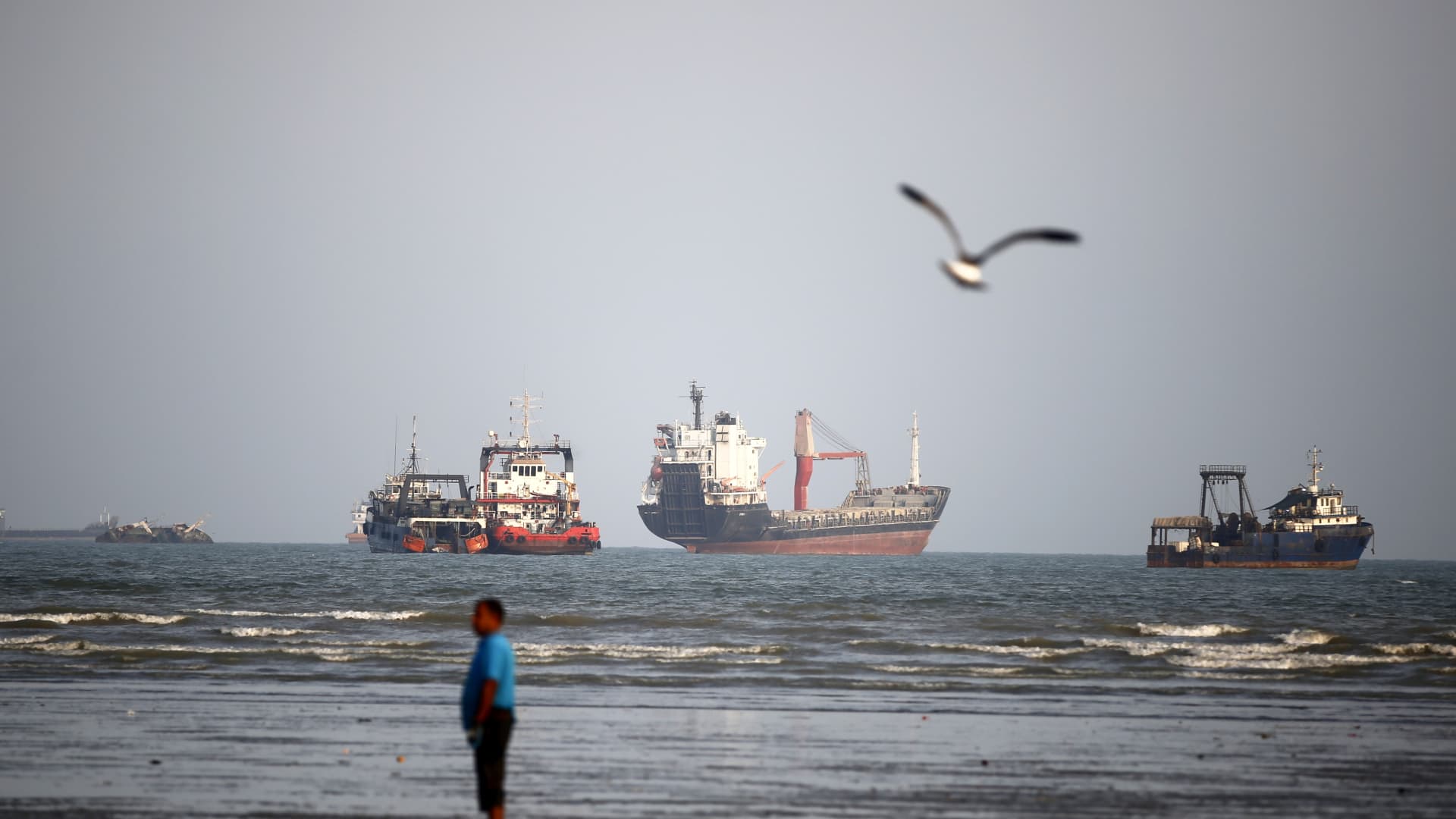 Several cargo vessels sit offshore as a blurred person walks along the beach beneath a flying seabird.
