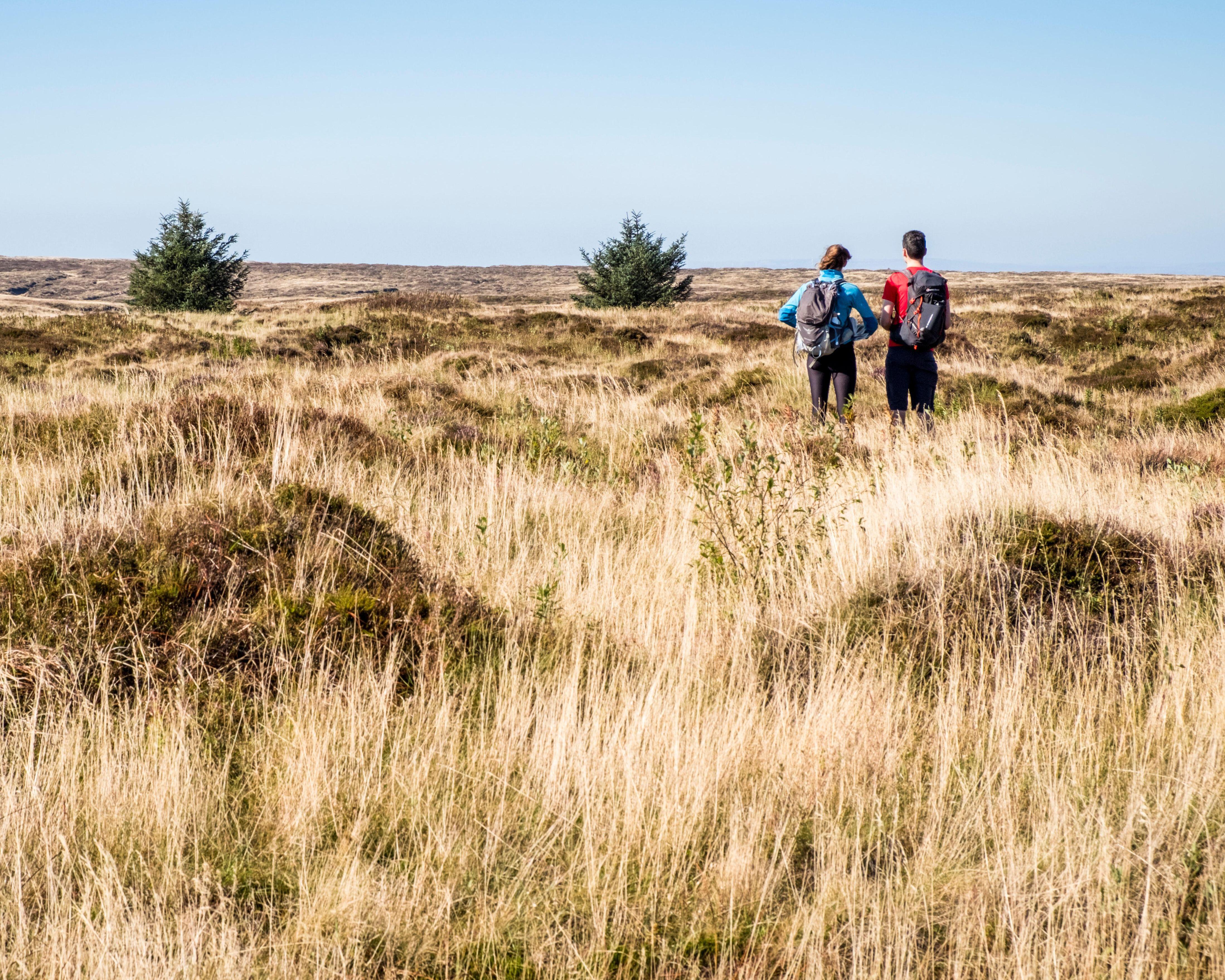 Two hikers with backpacks walk through a sunlit grassy moorland beneath a clear sky.