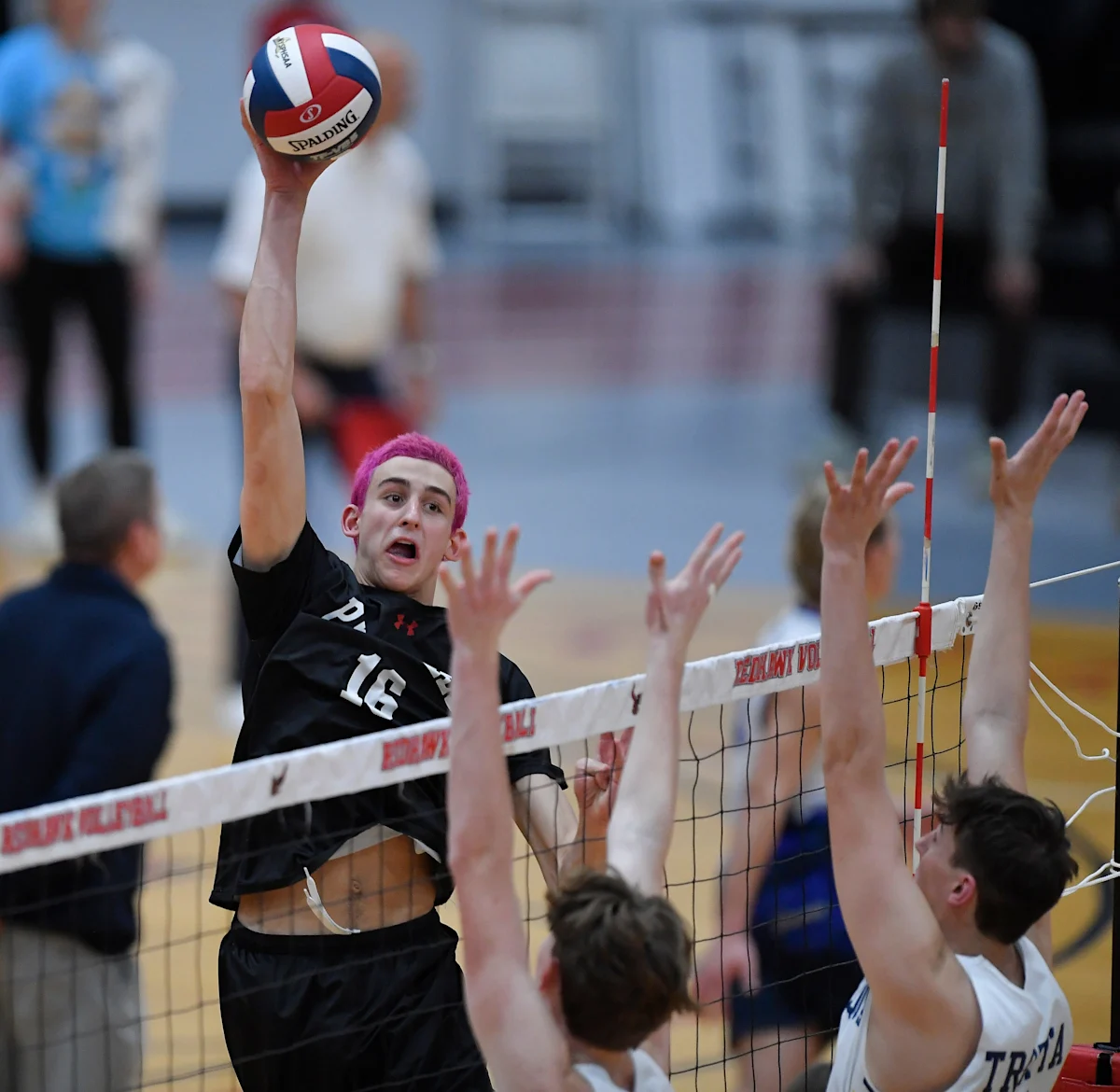 Volleyball player in black jersey attacks ball over net as two opponents reach to block.