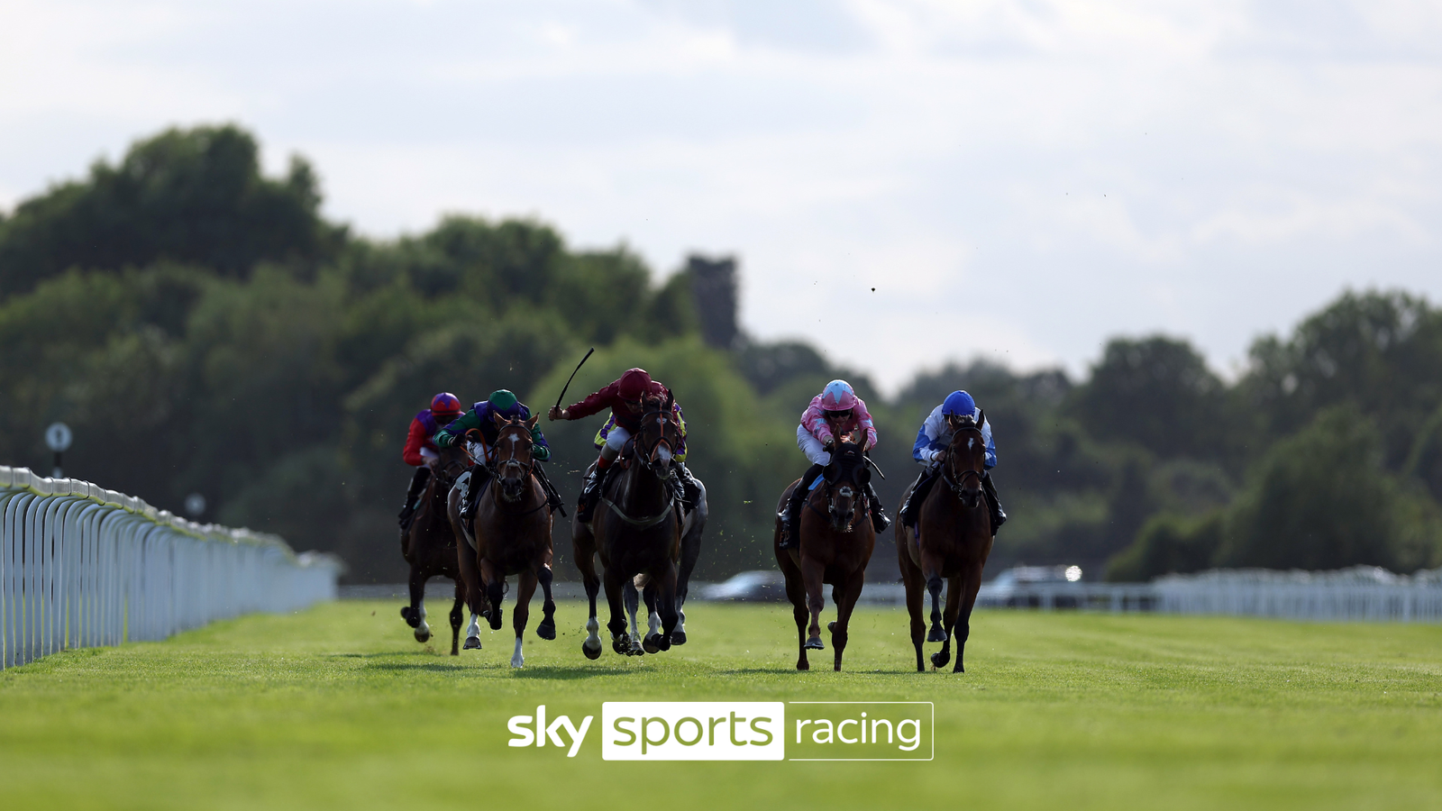 Five jockeys race thoroughbred horses across a grass track, with white railings and trees behind.