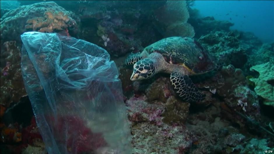 A sea turtle swims above a coral reef beside a large translucent blue net-like shape.
