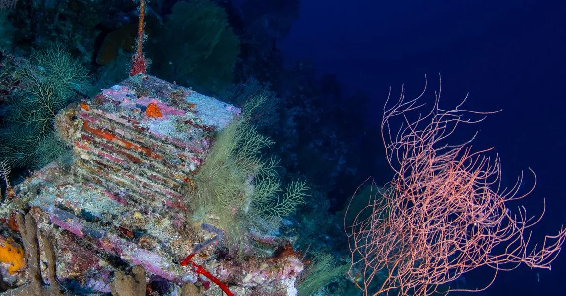 An encrusted underwater structure rests beside pale branching corals against deep blue water.