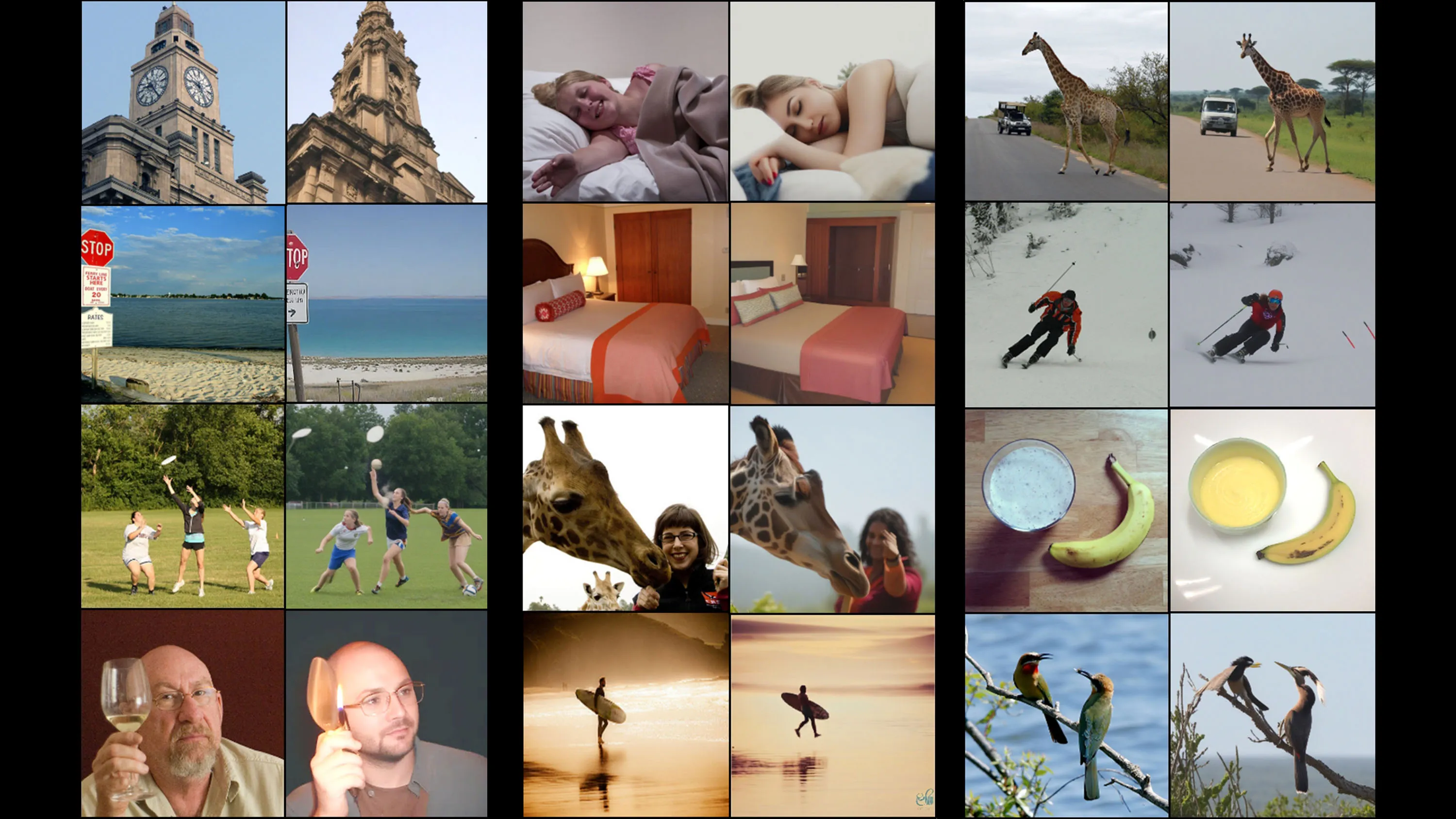 A collage pairs varied photographs of buildings, people, animals, landscapes, food, and sports scenes.