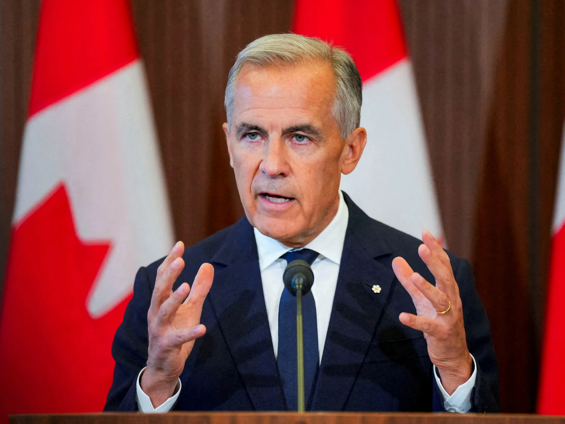 Gray-haired man in a dark suit speaks at a microphone, gesturing with both hands before Canadian flags.