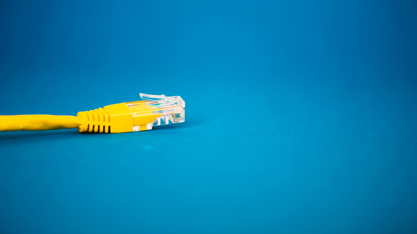Yellow Ethernet cable with a clear connector lies across a blue surface, leaving open space to the right.