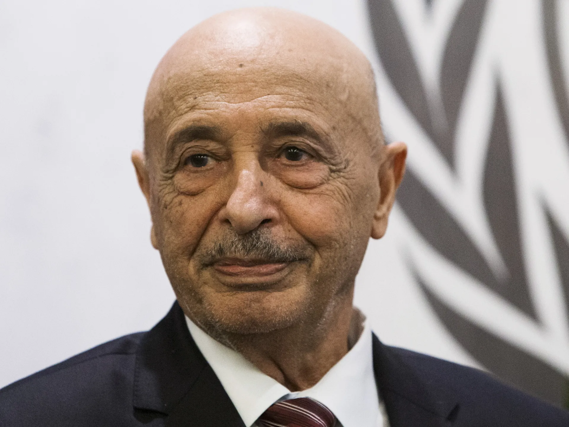 Close-up portrait of a bald older man in a dark suit, white shirt, and striped tie.