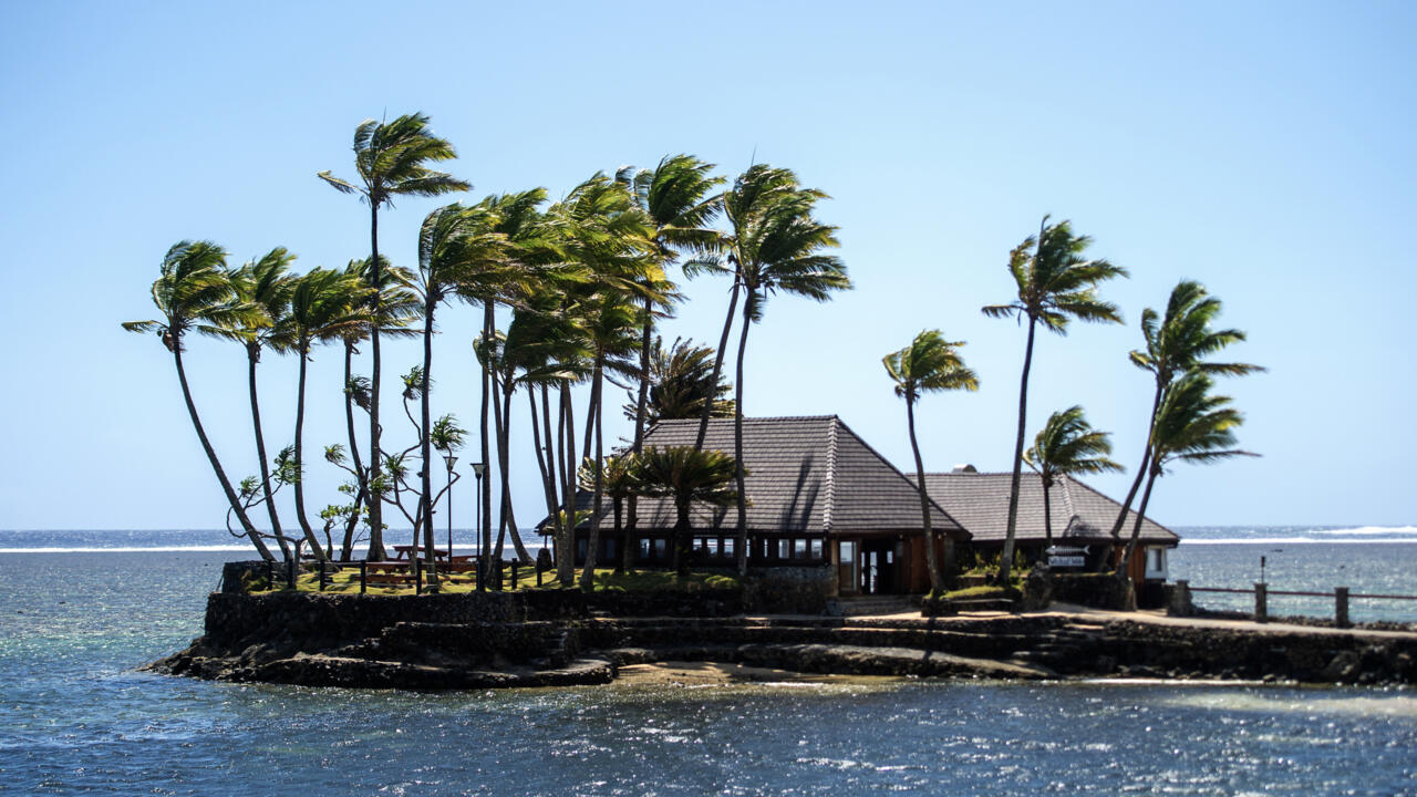 Palm trees bend in strong wind beside a low building on a rocky island, with ocean in the foreground.
