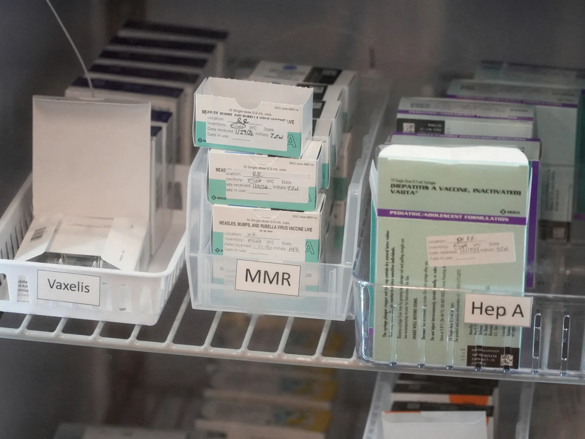 Vaccine boxes labeled MMR and Hep A sit in clear bins inside a refrigerator.
