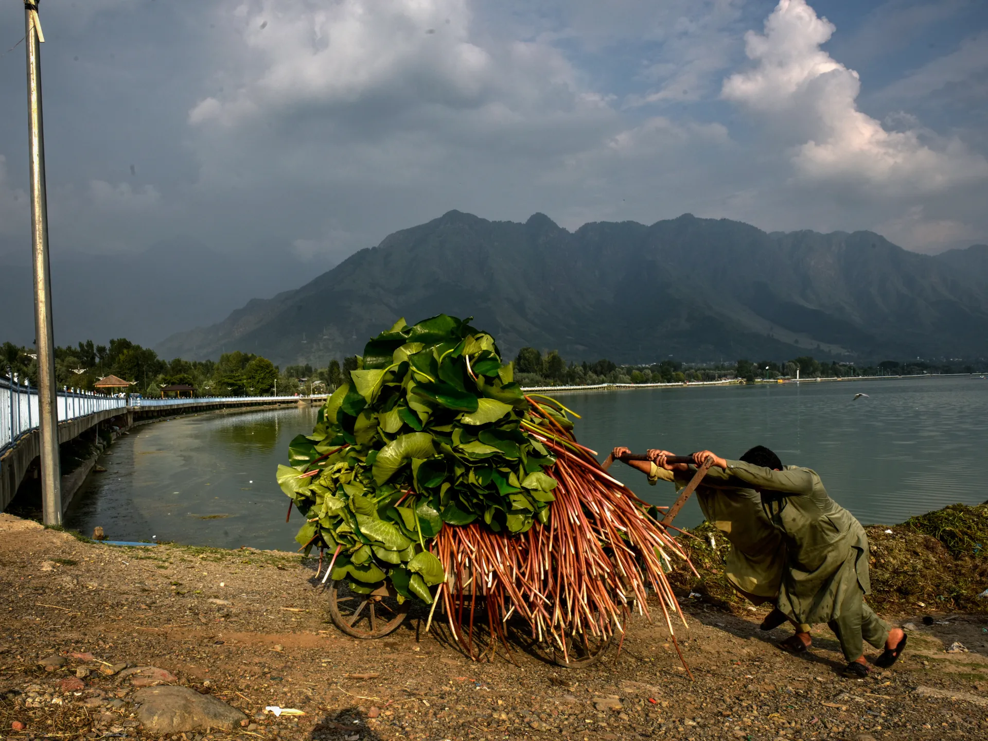 A man pushes a heavily loaded handcart along a lakeshore, with mountains and cloudy skies behind him.