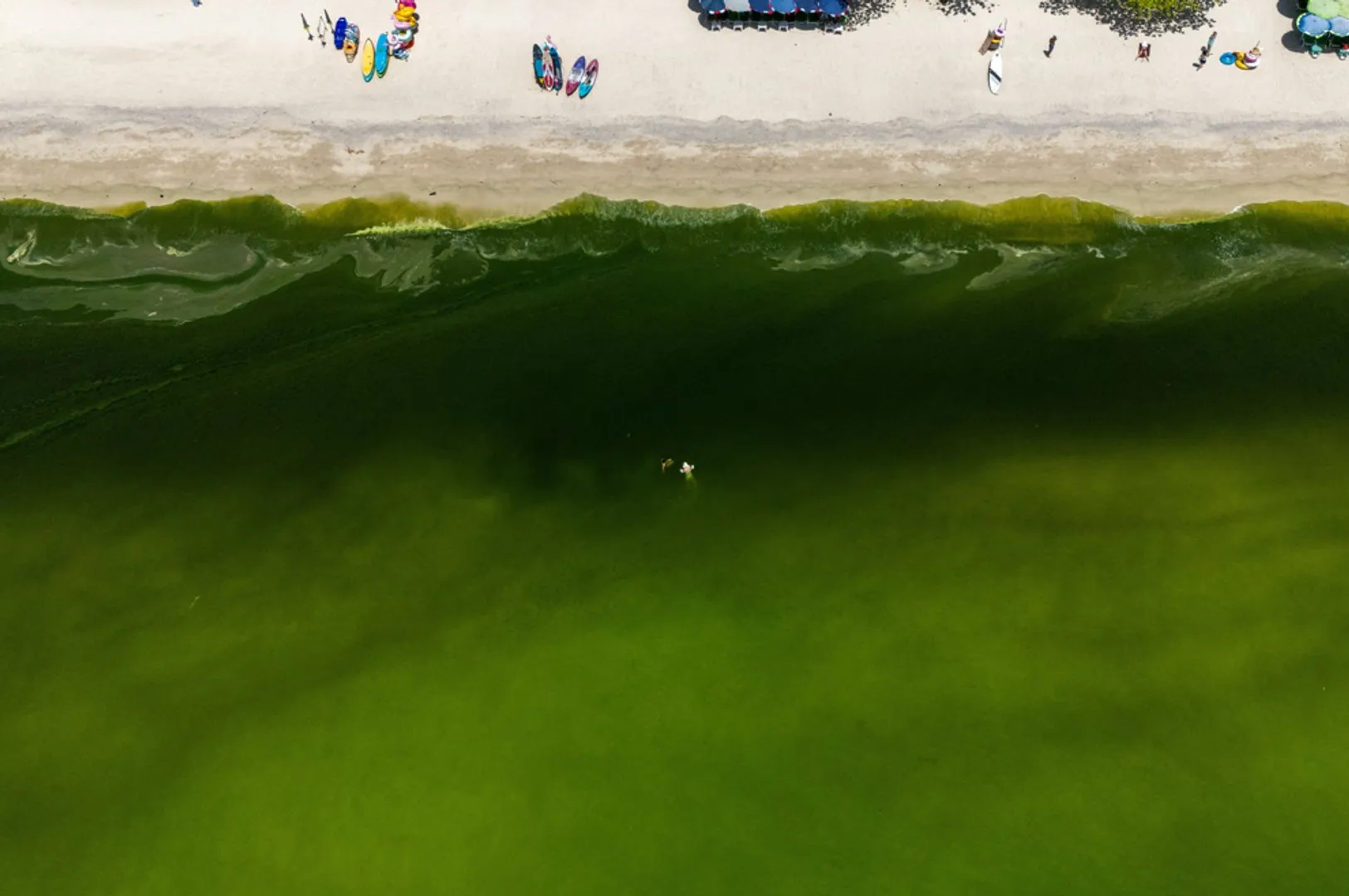 Aerial view of green water beside a sandy beach with people and watercraft along the shore.