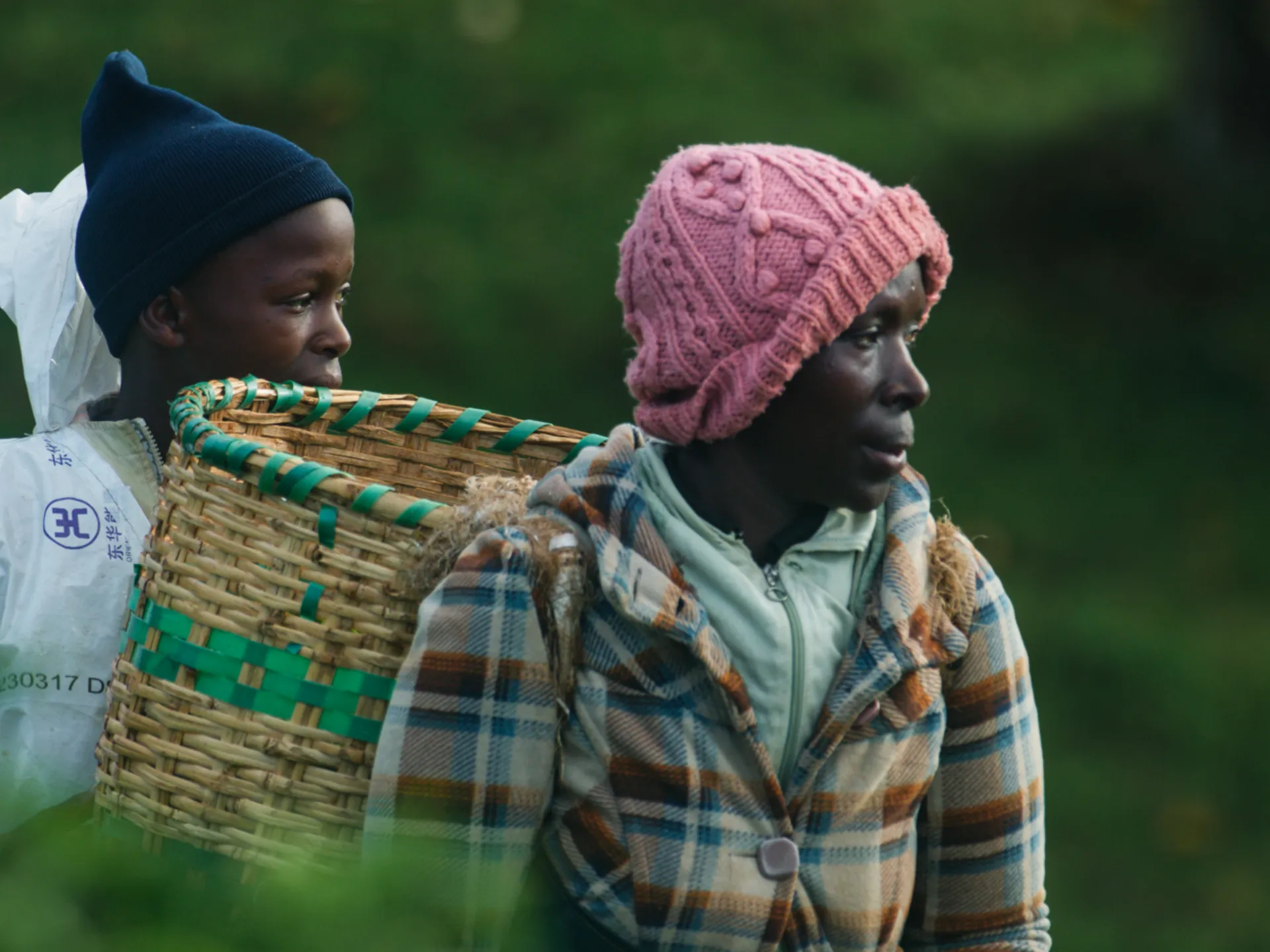 Two people in knit hats and plaid coats carry a large woven basket against a green background.