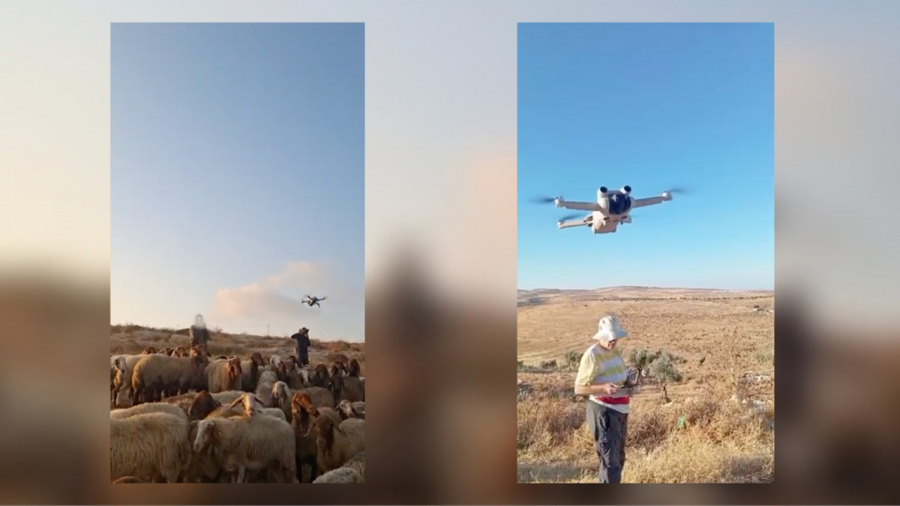 Two vertical scenes show drones flying over a flock of sheep and a person in a dry field.