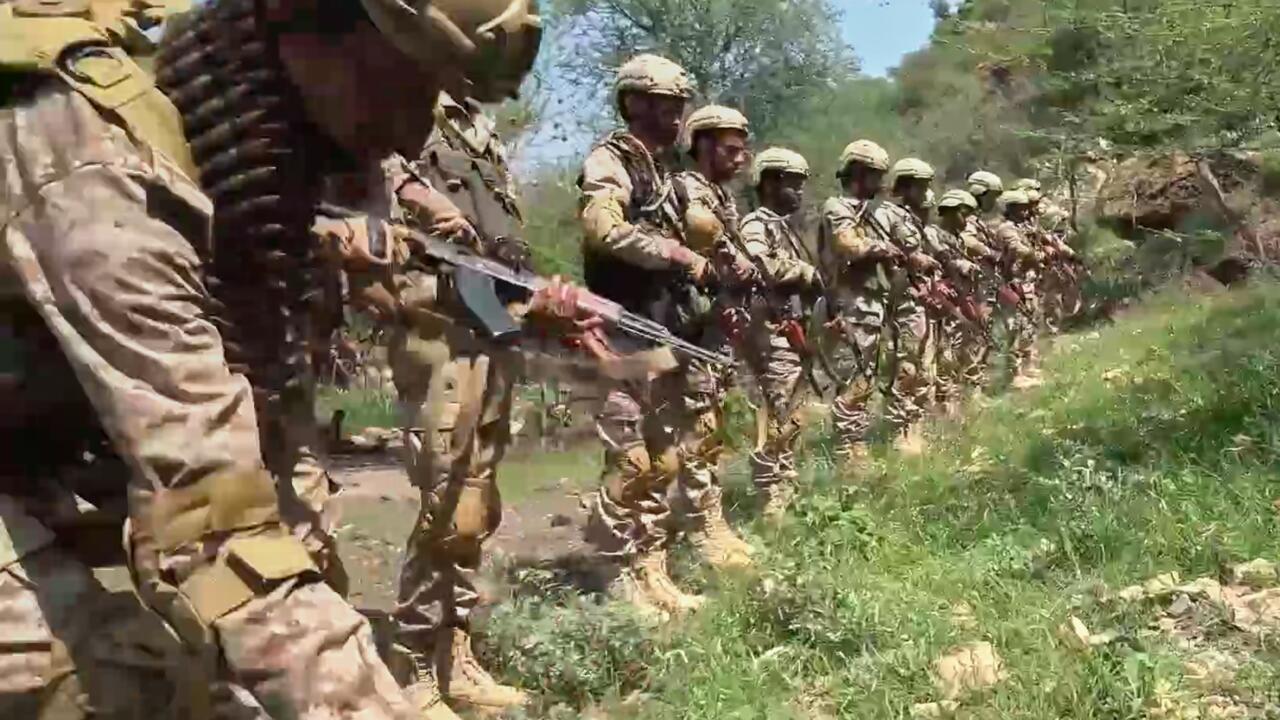 Soldiers in camouflage stand in a line on a grassy, tree-lined path, holding rifles.